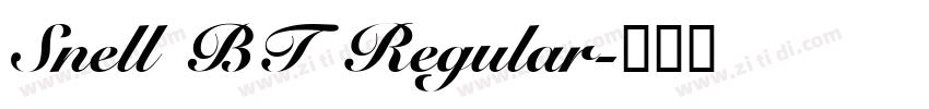 Snell BT Regular字体转换